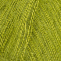 Lichen (K0016)
