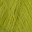 Lichen (K0016)