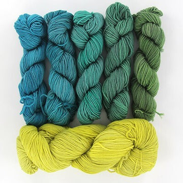 #5, Little Busy Bee & Lime To Turquoise Shadow Minis (5)