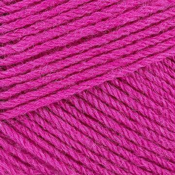 Fuchsia (787)