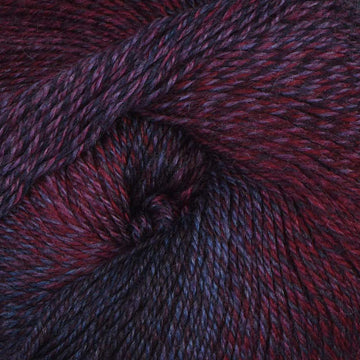 Patriotic Vein (29)