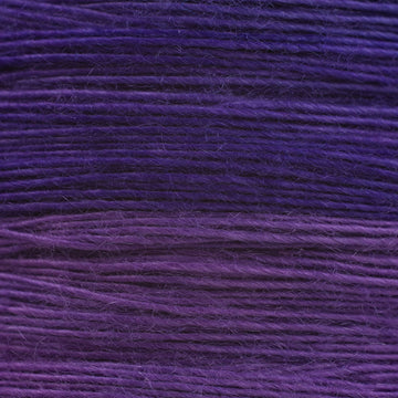 H5 (0005)