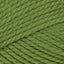 Cactus (33)