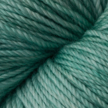 Blue Sage (20)