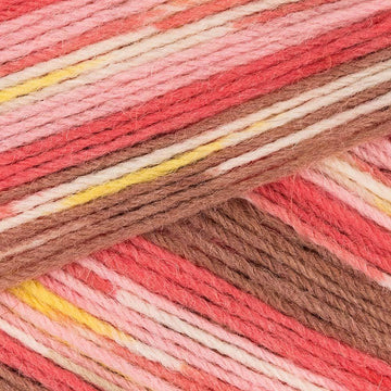 Corals (3234)