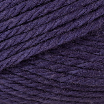 Concord Grape (45)