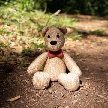 Deramores Teddy Bear PDF