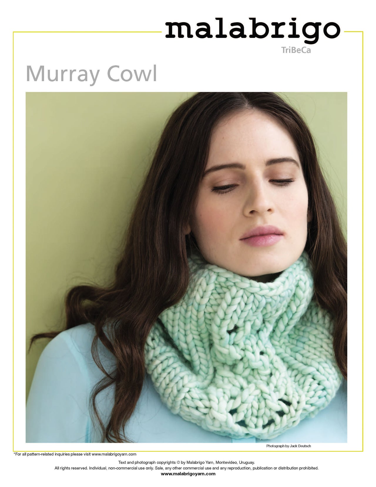 Murray Cowl in Malabrigo Rasta - PDF