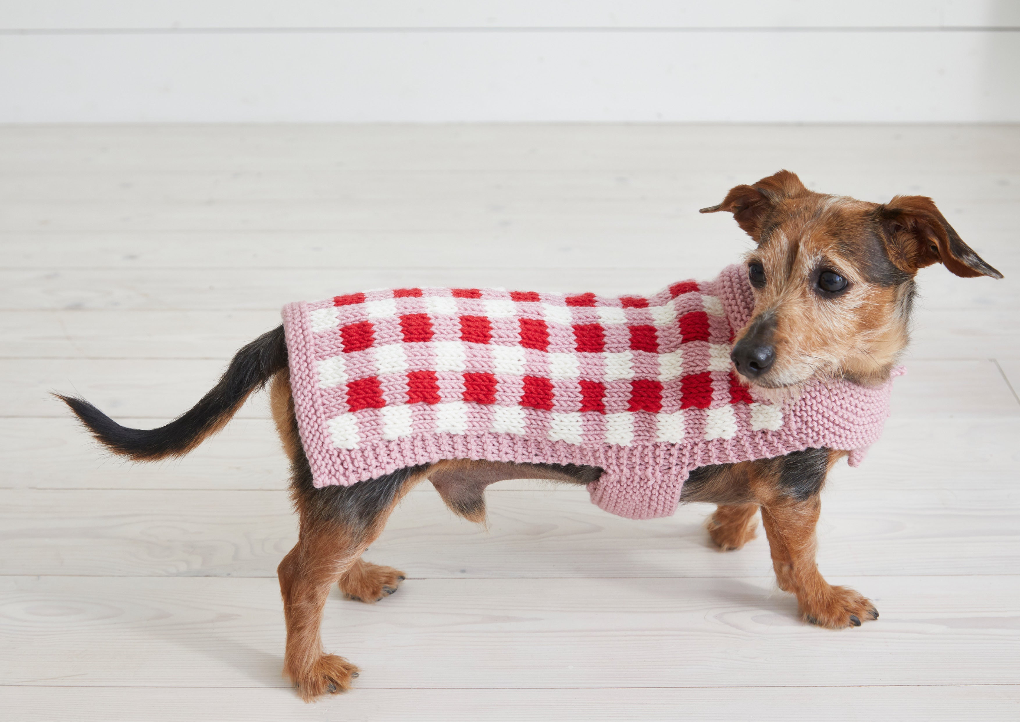 Debbie Bliss Picnic Pooch Knitting Pattern
