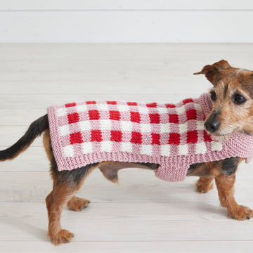 Debbie Bliss Picnic Pooch Knitting Pattern
