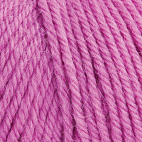 Fuchsia (0017)