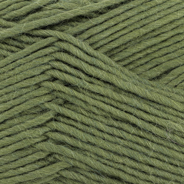 Olive (33)