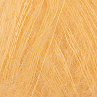 Apricot (719)
