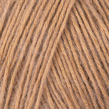 Camel (32)