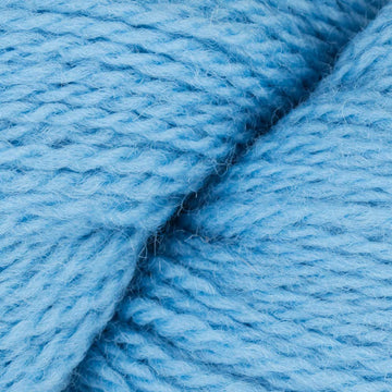 Robin Egg Blue (8905)