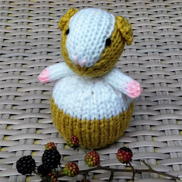 Guinea Pig - Chocolate Orange Cover
