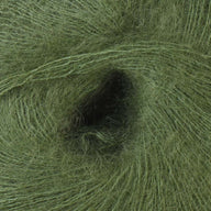 Basil (3437)