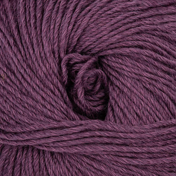 Plum (94127)