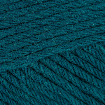 Teal (17)