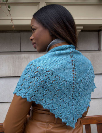 Shawl in Plymouth Yarn Linaza - F619 - PDF