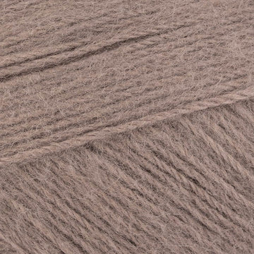 Brushed Silver (102)