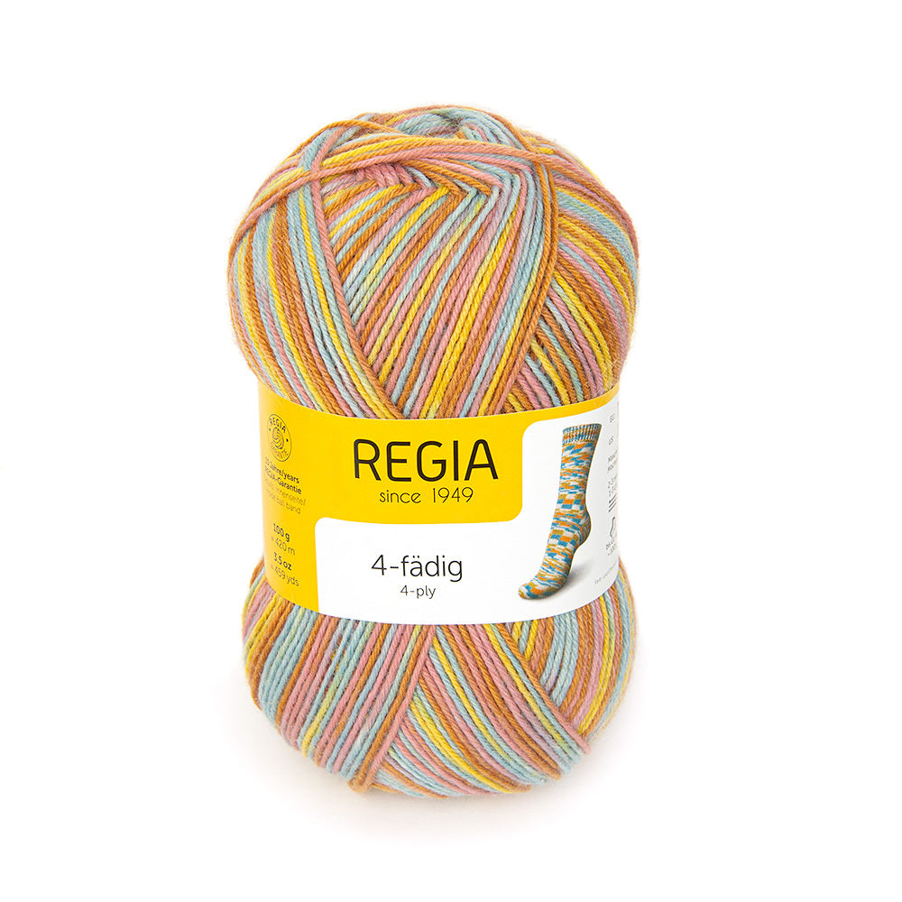 Regia 4 Ply Color Yarn - Wool 4 Ply