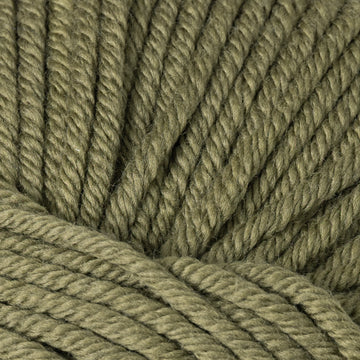Garnish (13297)