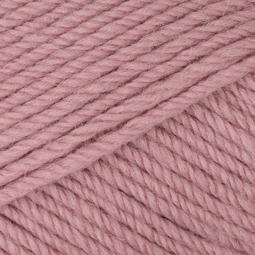 Carnation (Dupl3090)