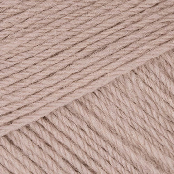 Biscuit (Dupl3125)