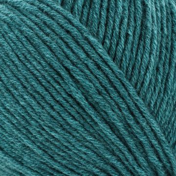 Teal (201362)