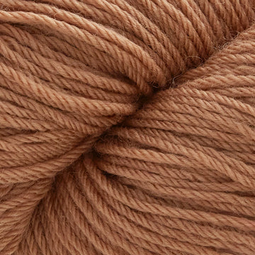 Brown Sugar (25)