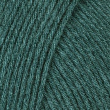 Teal (201362)