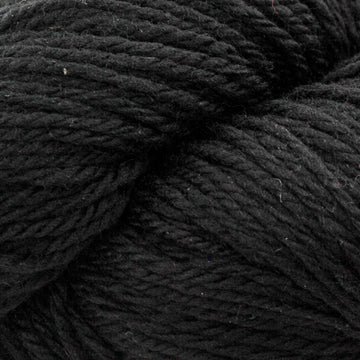 Blackbird (15)