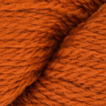 Jack OLantern (7824)