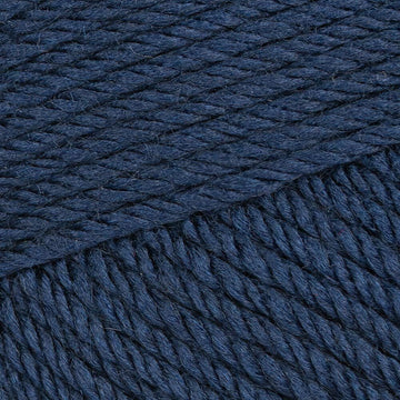 Navy (8)