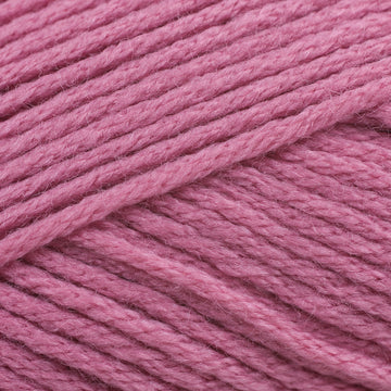 Rosebud (2723)