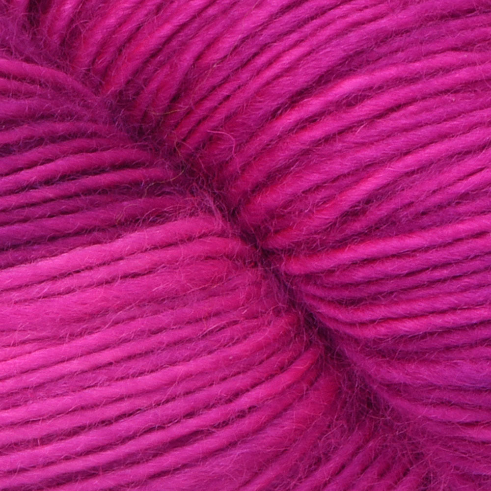 Dream in Color Jilly