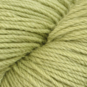 Green Banana (14)