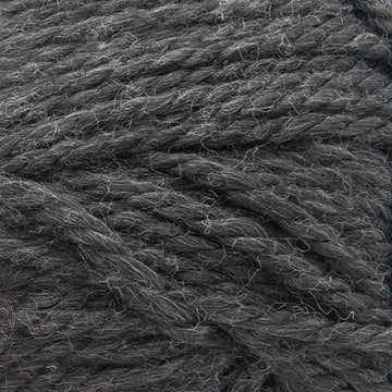 Raven (843-153J)