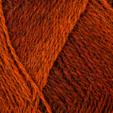 EP orange, rust, brown