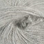 Silver (10024)