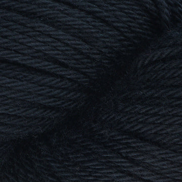 Black Eyed Susan (8434)