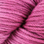 Blushing Rose (5230)