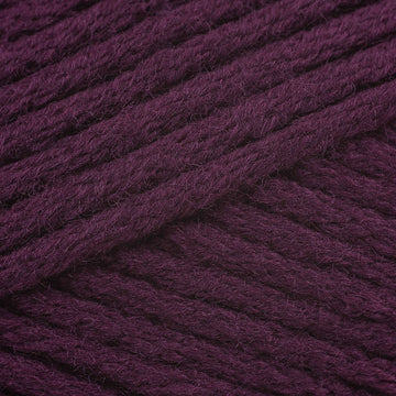 Dried Plum (5780)