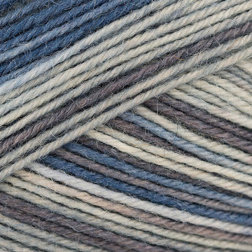 Fog (4787)