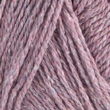 Tea rose (12319B)