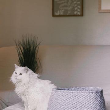 Harbor Pet Bed