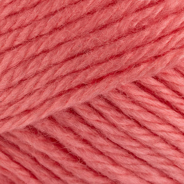 Salmon Rose (161)