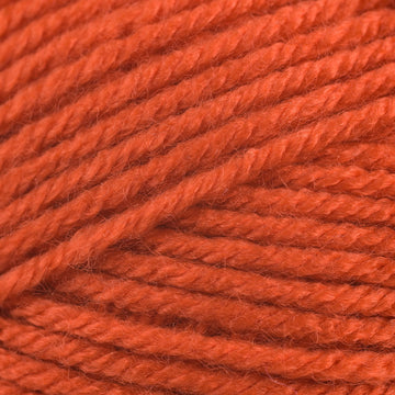 Pumpkin (142)