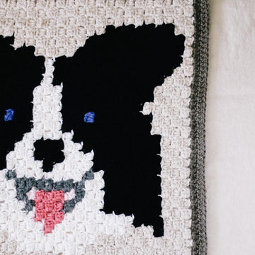 C2C Border Collie / Australian Shepard Dog Blanket Square